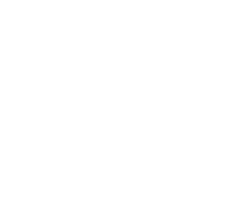 skillingua shape-33